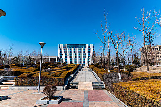 xs rong vang bach kim