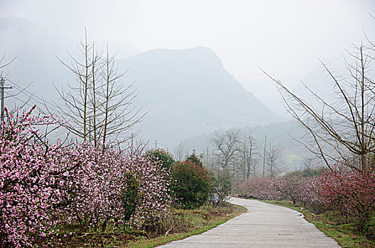 số cần thơ
