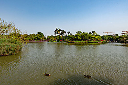 xổ số kiến thiết ngày