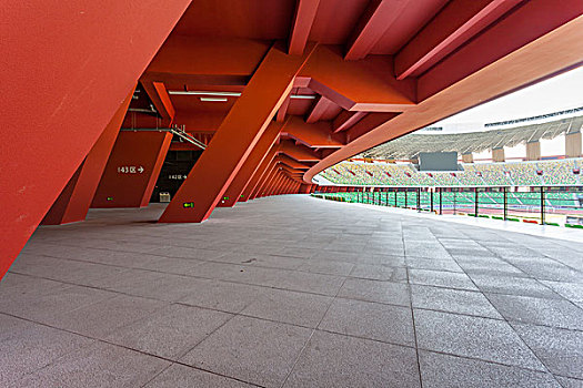soi câu bach kim