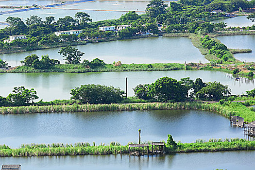 dàn lô đề