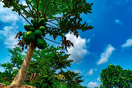 web lô đề