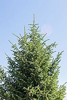 xs đài bắc