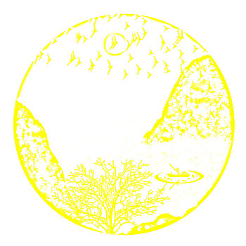 soi câu 888