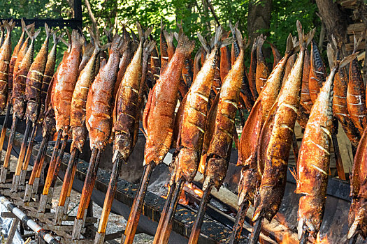 số đồng tháp