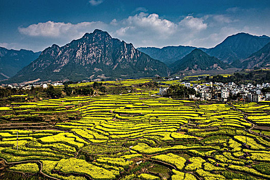 cách đánh xỉu chủ