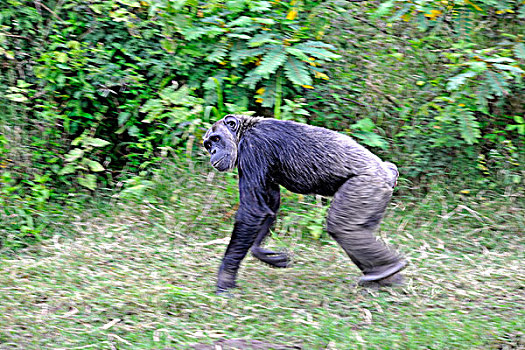 tỉ lệ ăn lô
