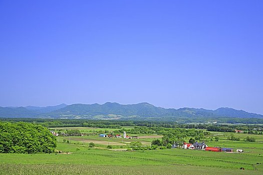 soi cầu vip mb