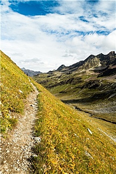 soi cau bach thu lo khung 3 ngay