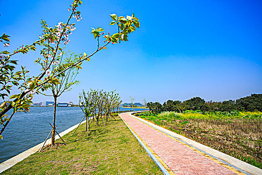 hướng dẫn cách đánh lô đề