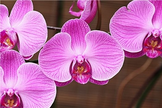 xổ số ngày hôm qua