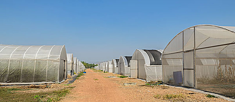 dò xổ số miền nam