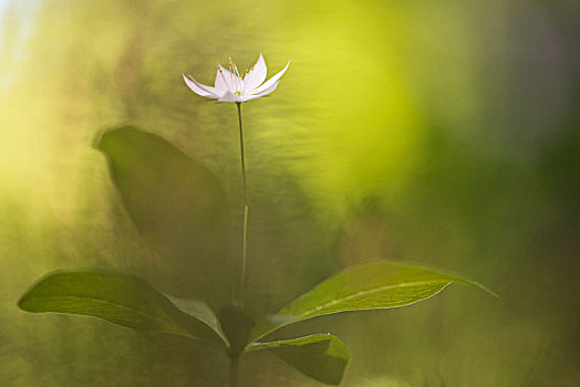 du doan xo so mien bac chinh xac 95