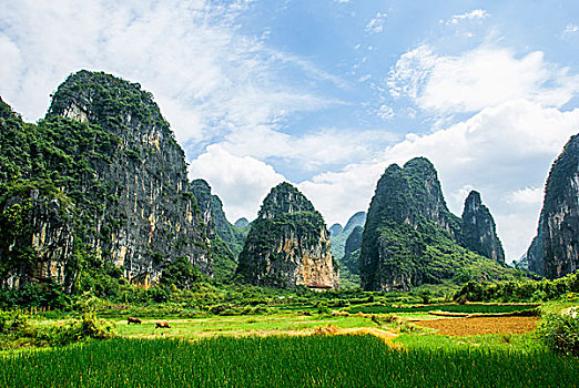 xổ số xổ số miền bắc