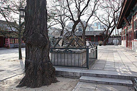 xsmb dự đoán