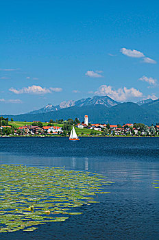 cau bach thu 888