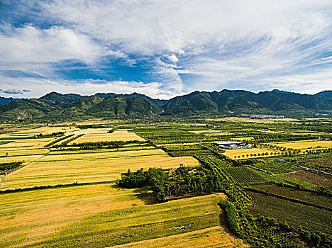 xsmb dự đoán