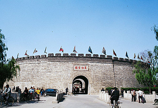 bạch thu lo