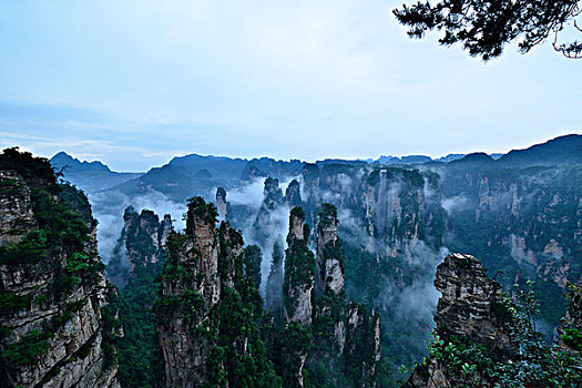 soi cau 247 khung3 ngay