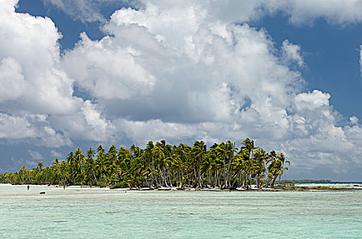 sx ca mau