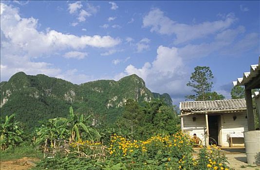 soi cầu 3 miền