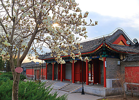 bạch thủ lô vip