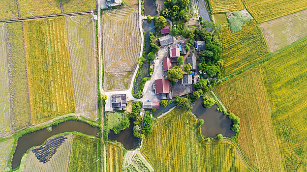 dự đoán thần tài miền nam