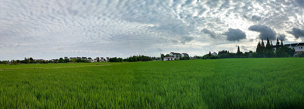 xổ số tây ninh tuần trước