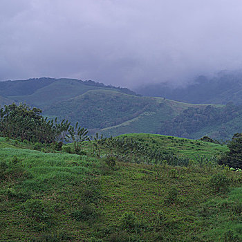 cầu đề miền bắc