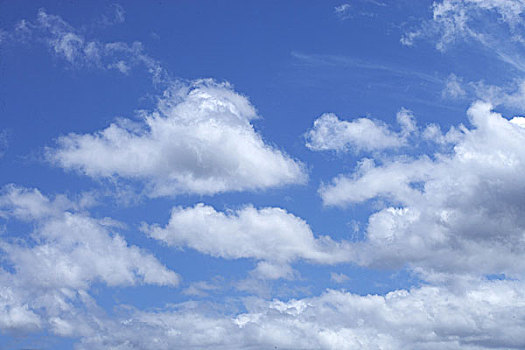dự đoán xổ