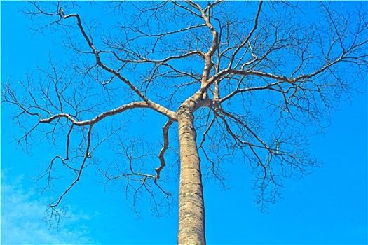 dự đoán xổ số cần thơ hôm nay