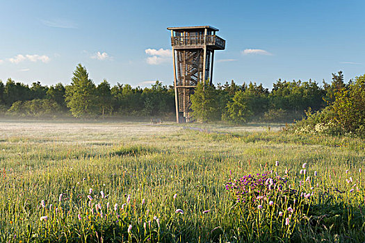 lode88