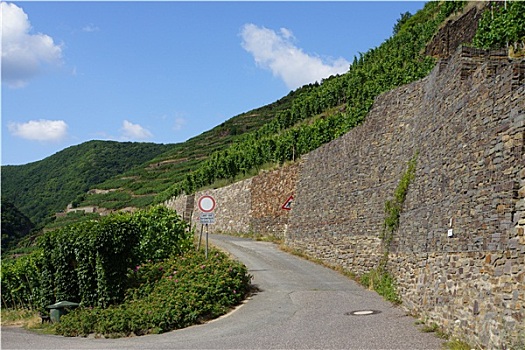 soi câu 3s
