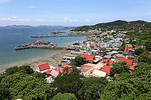cau bach thu mien bac hom nay