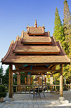 cau lo bach thu khung 3 ngay