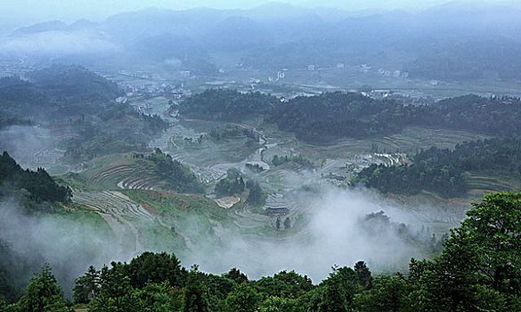 soi cầu lô bạch thủ 888