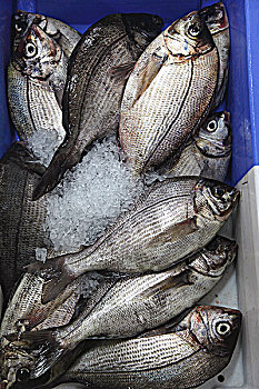 thống kê giải đặc biệt ngày hôm sau