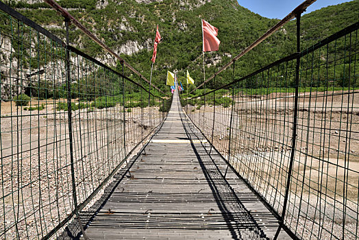 rong bạch kim 888