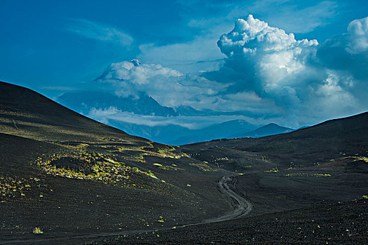 lo bach thu khung 3 ngay 368