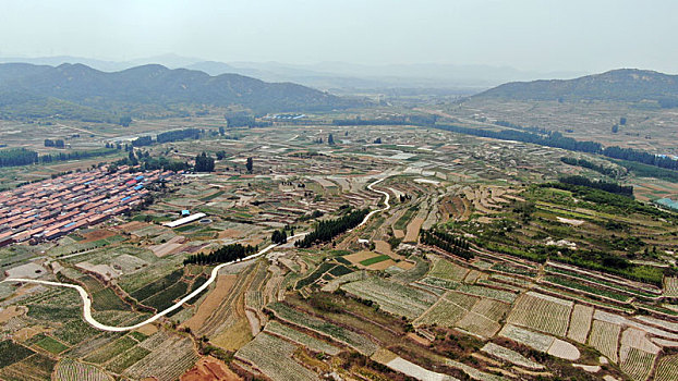bach thu lo de mien bac