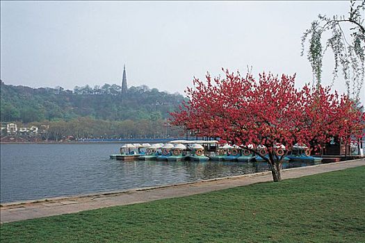 quay số thử hôm nay