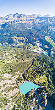 soi cau 88 rong bach kim