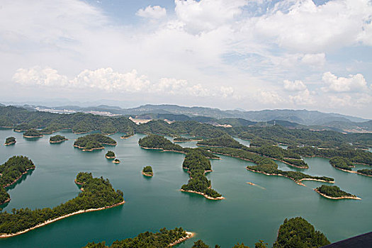 rong bach kim 247