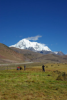 bach thu lo khung 2 ngay