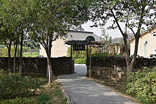 xstd 30 ngày