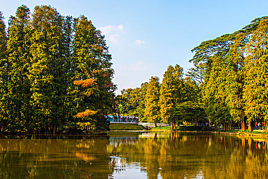 bach thu khung 5 ngay