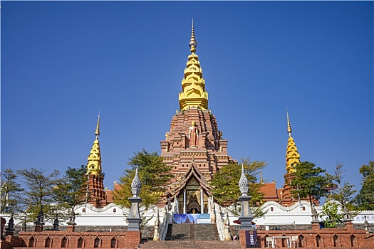 bach thu lo kep mb