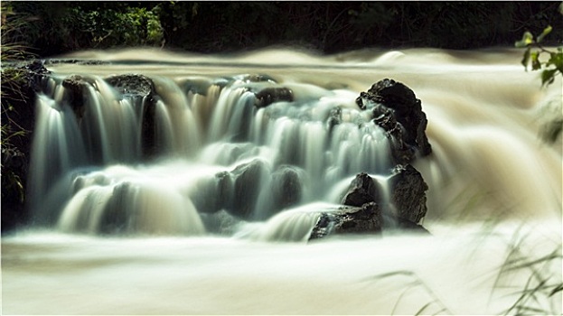 soi cau lo bach thu khung 3 ngay