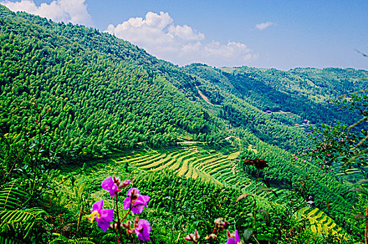 xổ số hậu giang tuần rồi