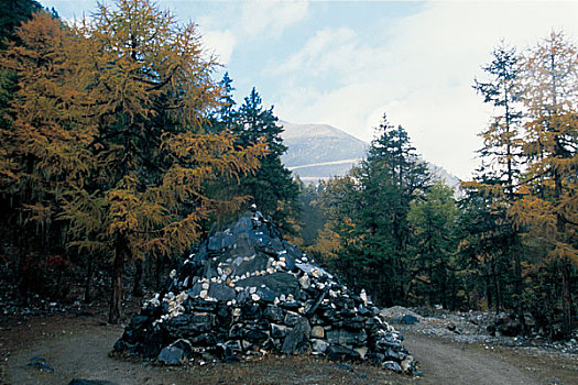 binh luan lo de
